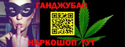 прущие крисы Гатчина