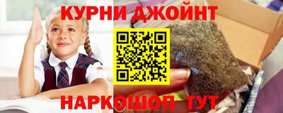 прущие крисы Гатчина