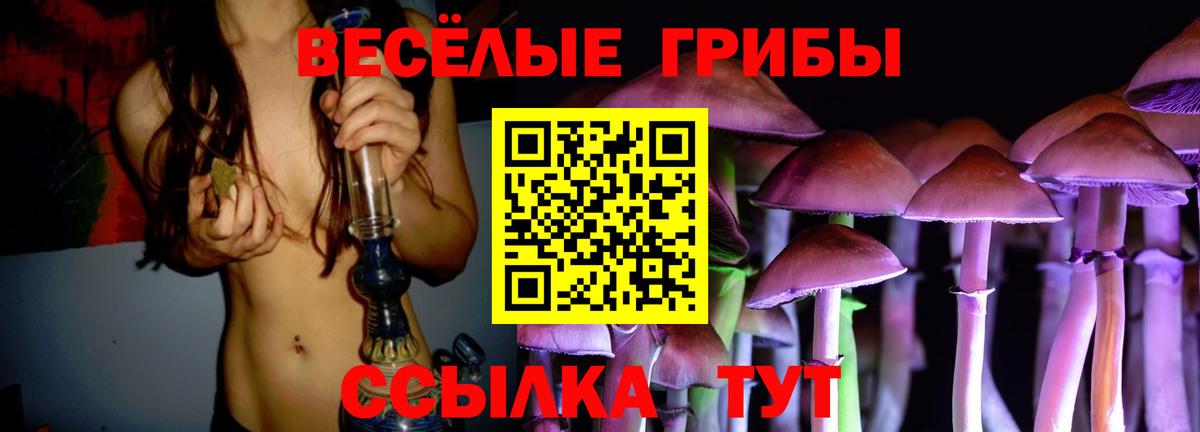 Галлюциногенные грибы GOLDEN TEACHER  Вход с VPN  Гуково 
