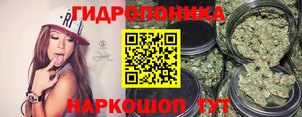 Бошки марихуана Bruce Banner  Конопля планчик  Вход с VPN  Гуково  Каннабис сатива 